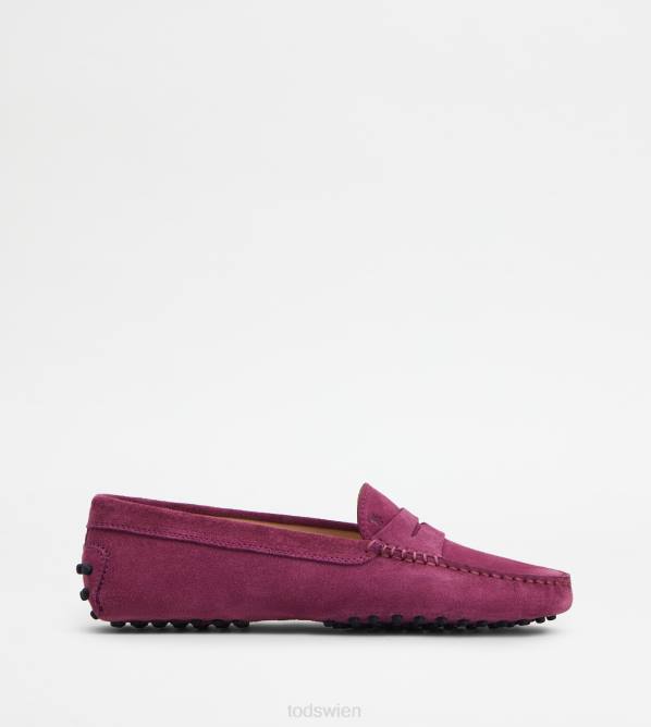 Gommino-Fahrerschuhe aus Wildleder Frauen Tod's DZ4Z102 violett