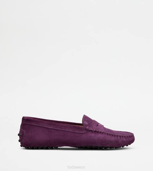 Gommino-Fahrerschuhe aus Wildleder Frauen Tod's DZ4Z112 violett