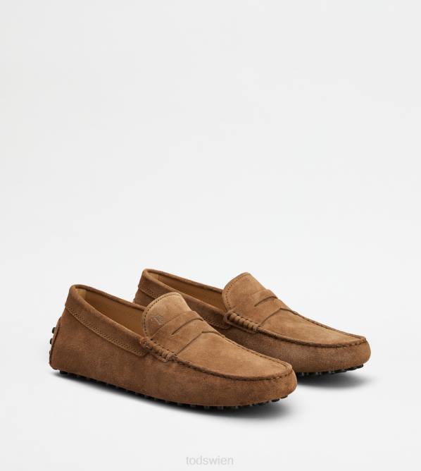 Gommino-Fahrerschuhe aus Wildleder Männer Tod's DZ4Z732 braun